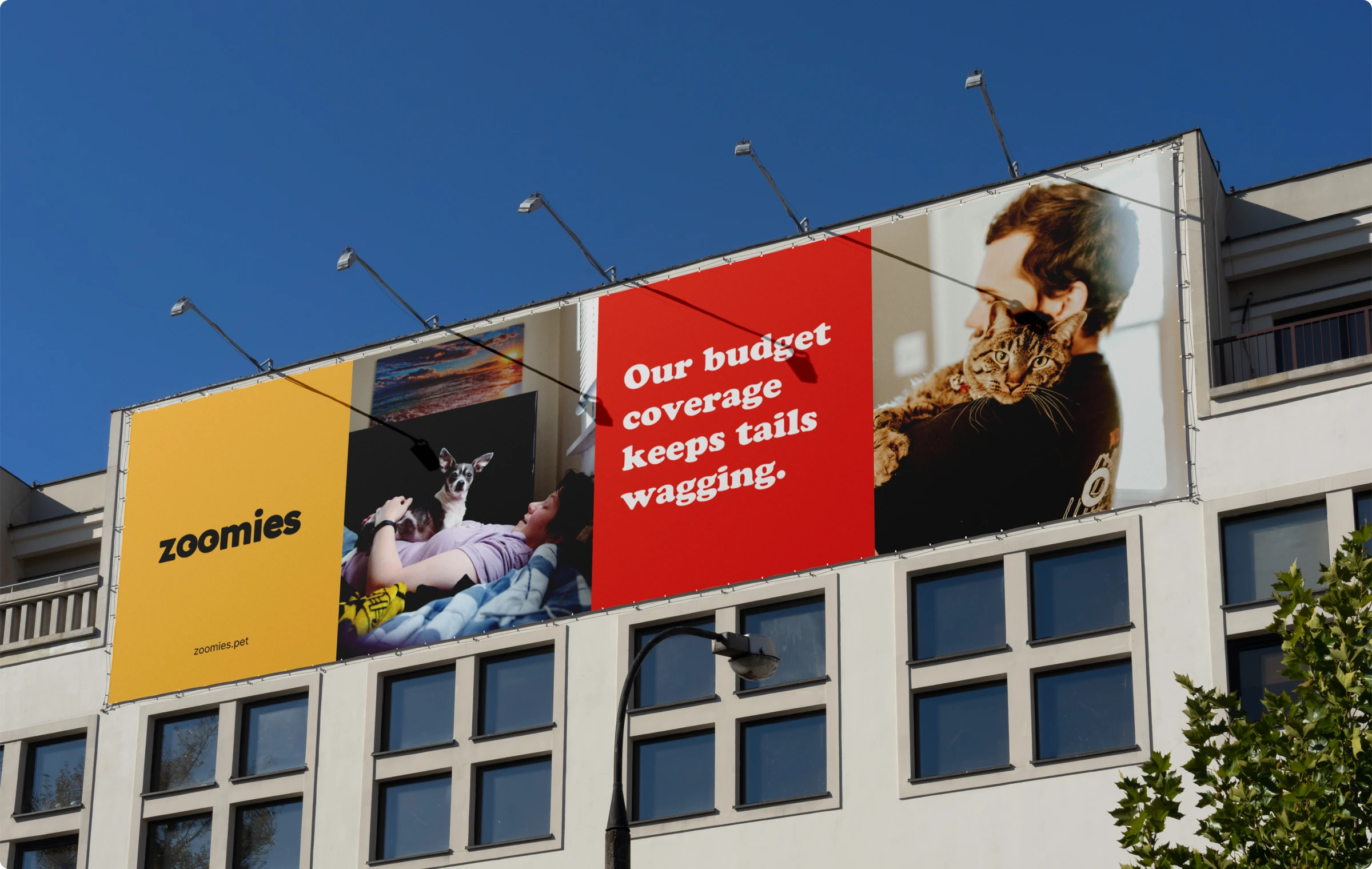 Zoomies — outdoor billboard campaign showing brand identity in context