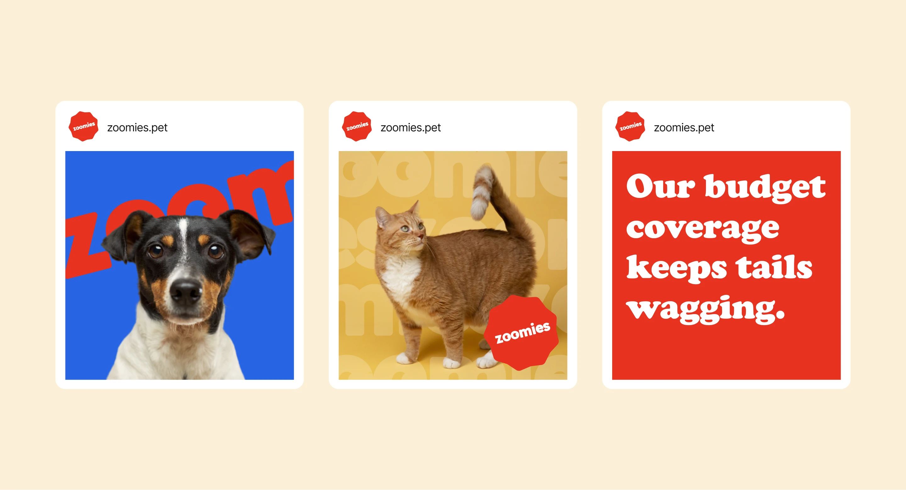 Zoomies — brand application